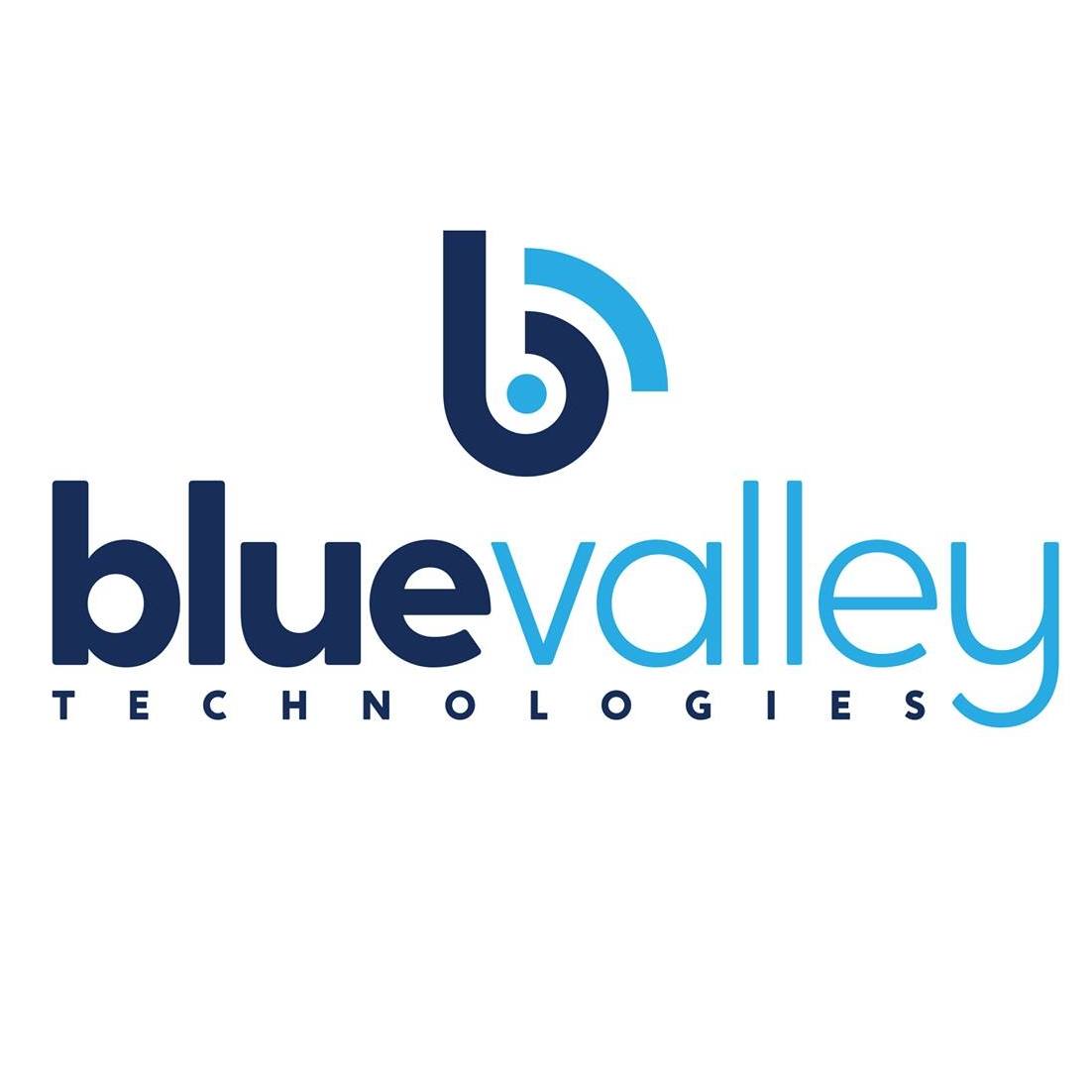 Blue Valley Technologies 